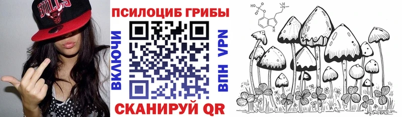 Псилоцибиновые грибы Cubensis Тамбов