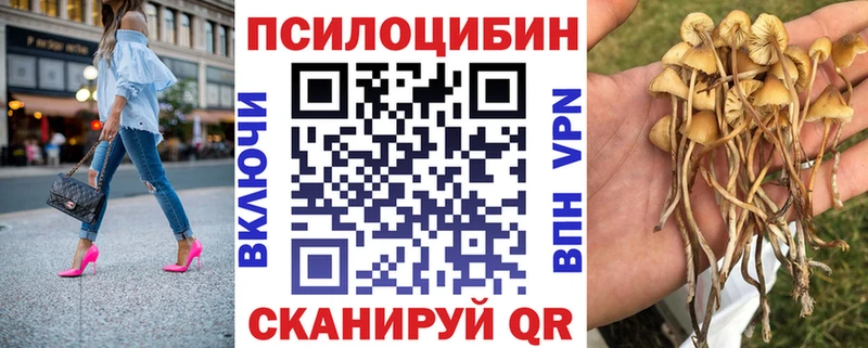 Галлюциногенные грибы мухоморы Тамбов